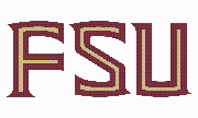 Florida State University - Division of University Advancement Logo